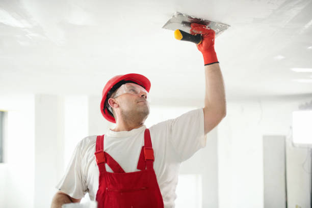 Best Interior Painting  in Fullerton, CA